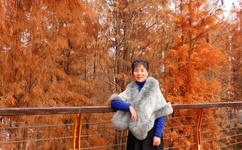 与晋长安电视剧在线免费观看